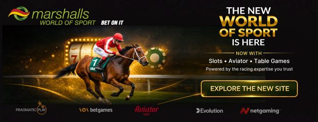 New MWOS Site Banner