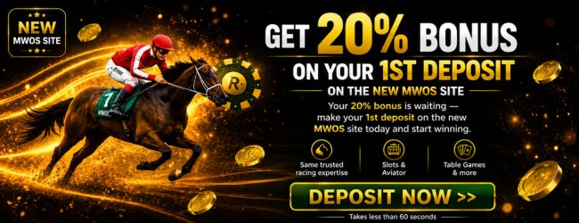 New Site Promo